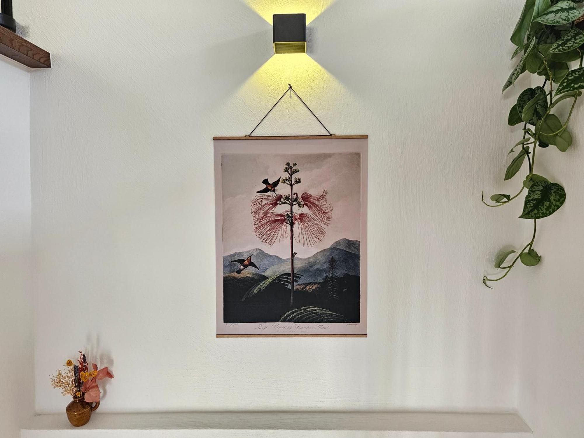 Kolibri - Design Maisonette - Nintendo Switch, Streaming, Bikestore, E-Wallbox Marburg Exterior foto